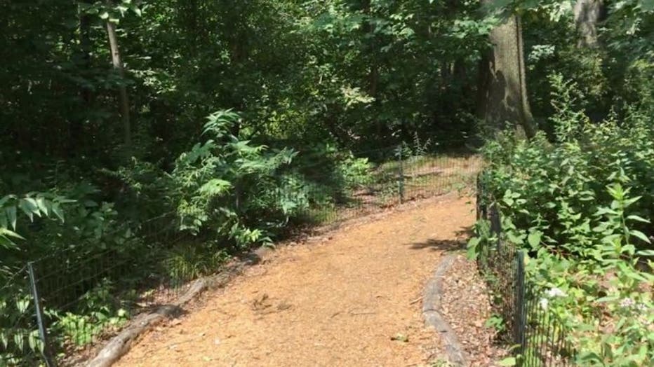 The Ramble in Central Park.
