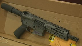 Nassau County police arrest gang members, seize guns