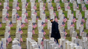 Veterans Day 2020: Quiet parades, somber virtual events