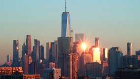 Hundreds of migrating songbirds crashing into NYC skyscrapers