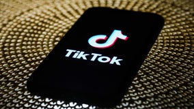 Federal judge postpones Trump's TikTok ban in suit brought by users