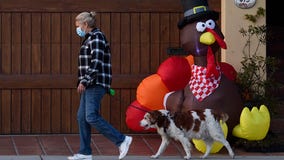 US medical associations urge 'scaled-back' Thanksgiving in open letter to Americans