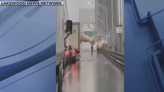 Heavy rains, strong winds hit New York area