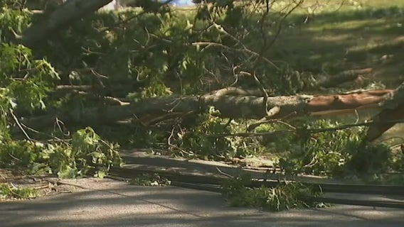 PSEG management wasn't prepared for Isaias, task force says