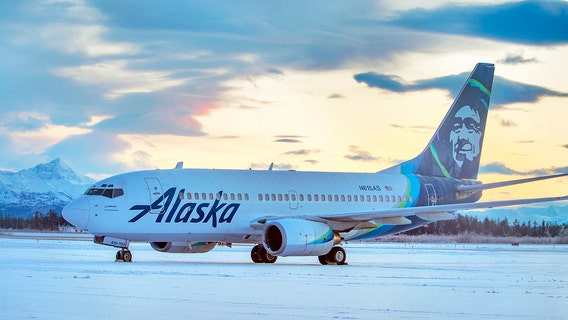 Jet hits bear while landing in Alaska