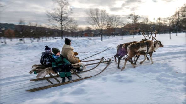 Brewery to deliver beer by reindeer this holiday season