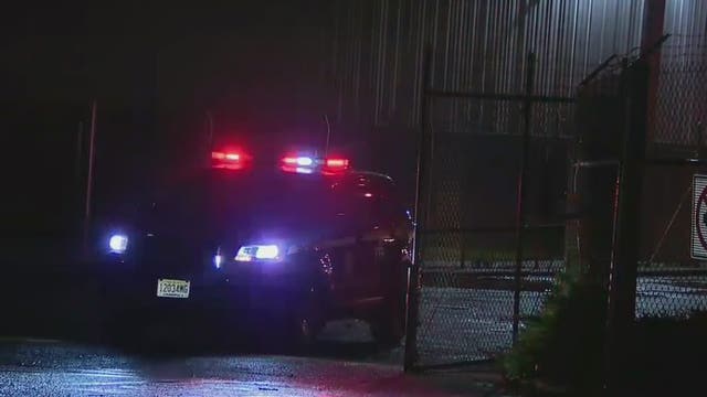 Severe storms topple trees, knock out power