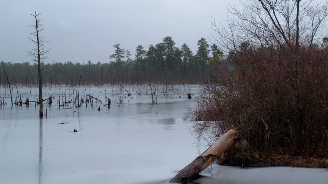 New Jersey sues companies over 'forever chemicals' in drinking water