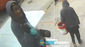NYPD: Suspect randomly punches 86-year-old woman in Queens, breaks her hip