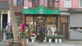 Few NYC shops have applied for Open Storefronts program