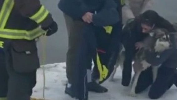Firefighters rescue dog that fell through ice