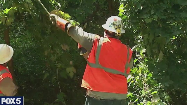 LIPA sues PSEG over tropical storm outage fiasco