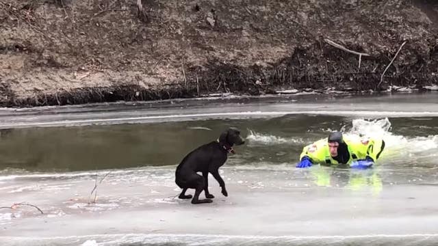 Deputies rescue dog stranded on ice chunk on North Dakota river