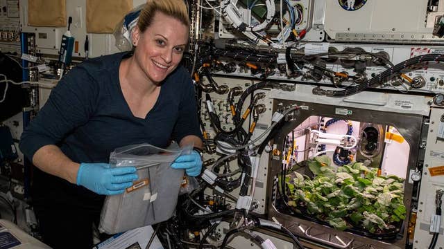 NASA grows radishes for first time onboard International Space Station