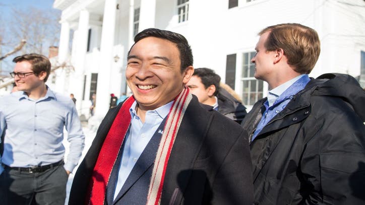 Seasoned administrator, veteran elected official, flashy newcomer crowd NYC mayor race - Vimarsana News