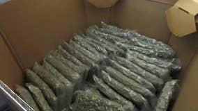 Border agents seize over 1 ton of marijuana at U.S.-Canada border