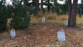 Treasure hunter pleads guilty to digging in cemetery at Yellowstone National Park