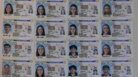 Thousands of fake IDs from China seized in Cincinnati