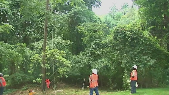 LIPA CEO: PSEG Long Island knew it wasn't ready for Isaias