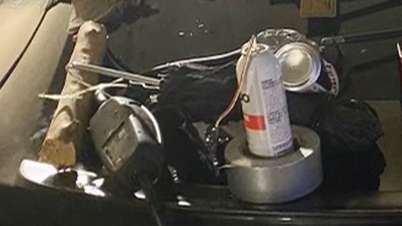 Hoax device, dog found inside Tesla that prompted Queens mall evacuation