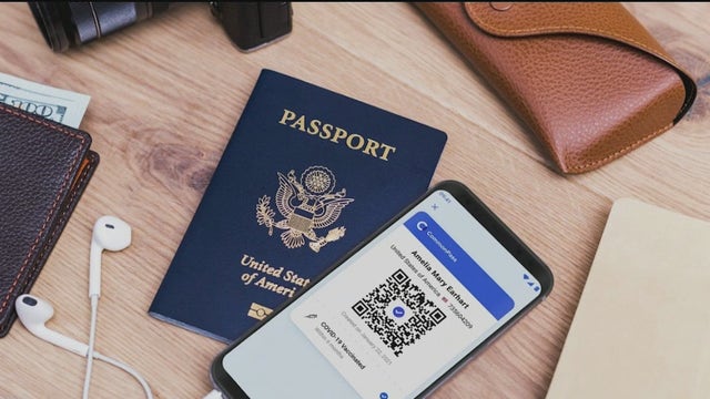 Could a COVID-19 'vaccination pass' become the new normal?