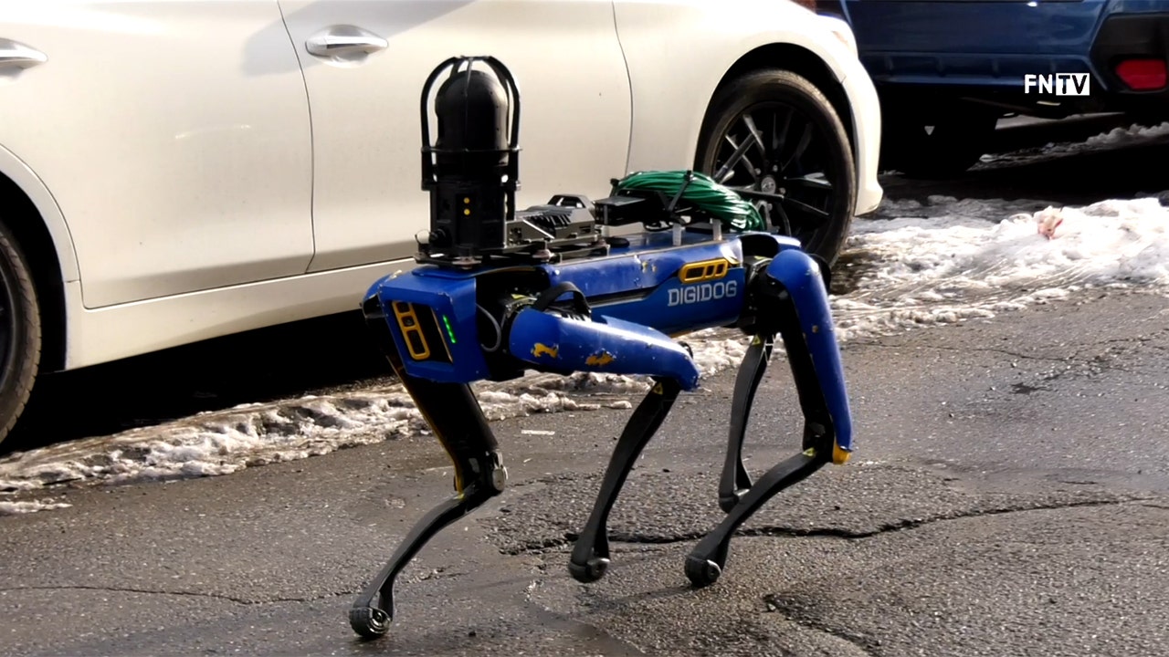 70000 robot dog