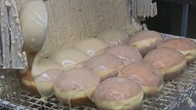 Paczki: Deep-fried treat made only two days a year in Brooklyn