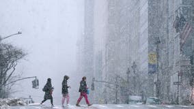 Snow day movies: Here are some free and brr-illiant films to stream on Tubi