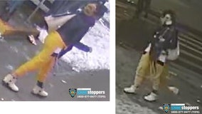 Woman pushed onto tracks in the Bronx as subway crime spikes