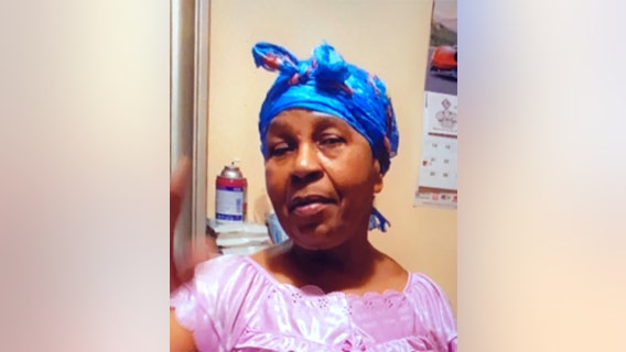 Brooklyn woman missing in snowstorm