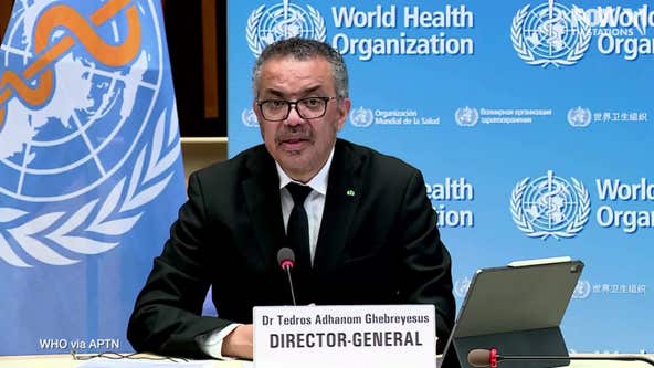 WHO COVID-19 investigation