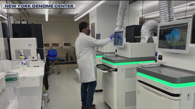 Just how prevalent are COVID variants in New York City?