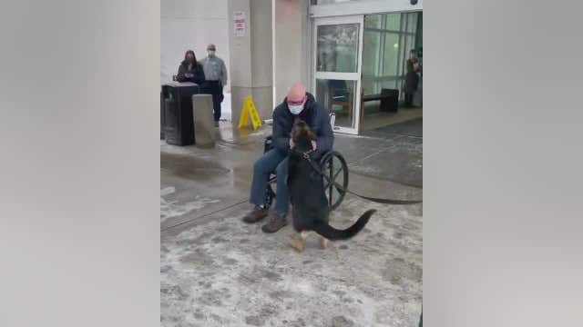 Emotional reunion between NJ man and dog who saved his life