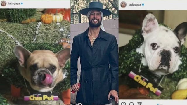 Lady Gaga to injured dog walker: 'You're forever a hero'