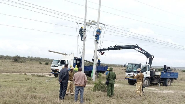 2 giraffes electrocuted by power lines in Kenya park