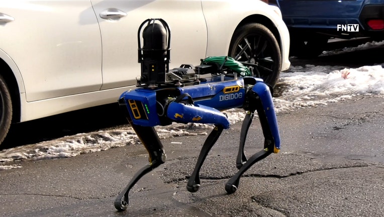 A blue and black robotic dog walks past vehicles on a street
