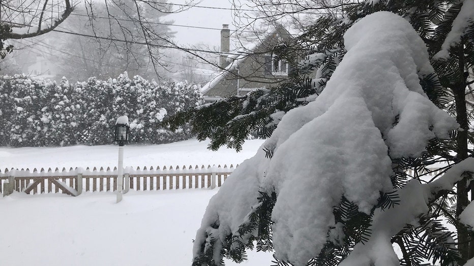 Snow is seen in a yard in Westfield, N.J. on Feb. 1, 2021.