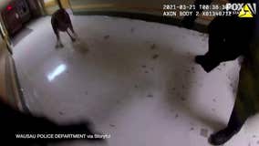 Wisconsin cops tackle deer inside nursing home