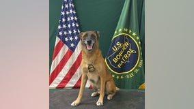 Arizona Border Patrol K-9 Officer retires after 7 years of service