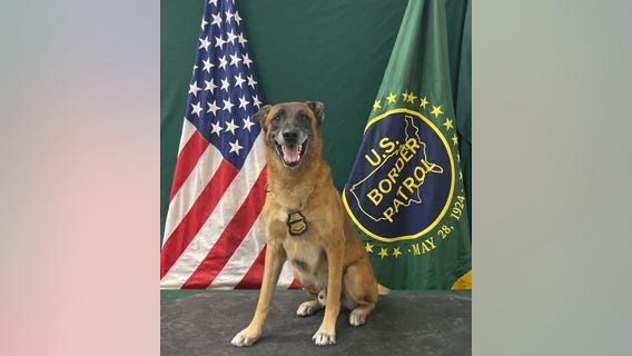 Arizona Border Patrol K-9 Officer retires after 7 years of service