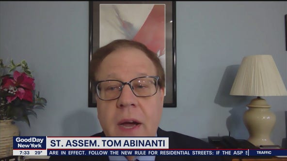 Member of Cuomo investigation