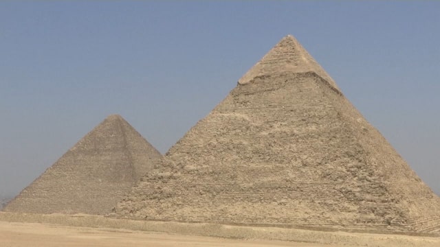 Oldest known pet cemetery found in Egypt with hundreds of animal remains