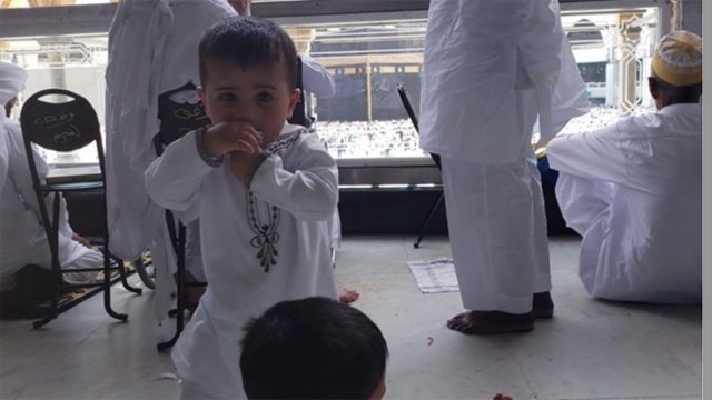 3-year-old boy mauled to death by neighbor's pit bulls