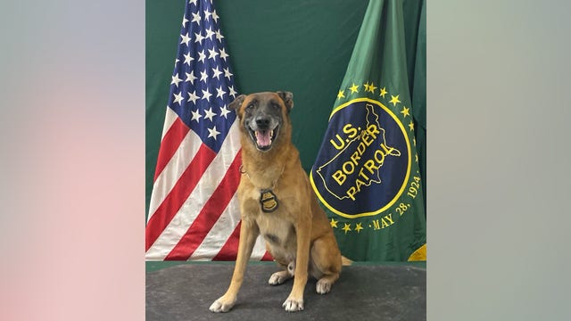 Arizona Border Patrol K-9 Officer retires after 7 years of service