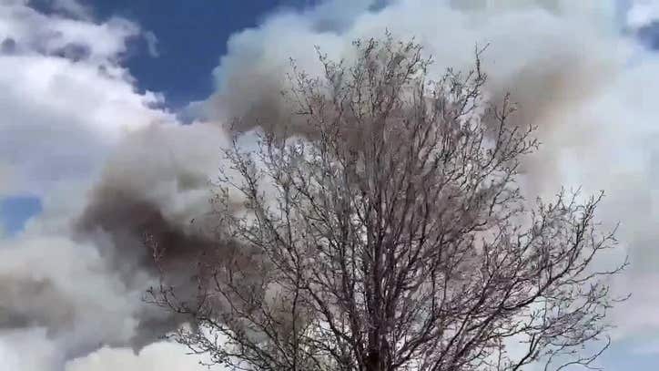 Forest fire closes parkway, prompts evacuations in New Jersey - Vimarsana News