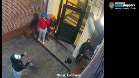 Teen girls climb fire escape to rob Bronx apartment: NYPD