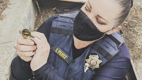 Animal control officer coaxes ducklings out of drain with mother duck cell phone sounds