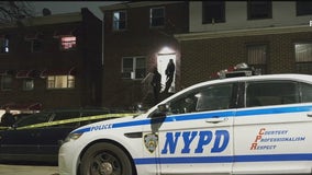 Overnight gun violence kills Bronx teen, injures 10 others