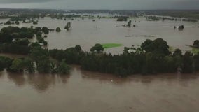 How the pandemic changed the fight against climate change