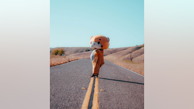 Guy in a bear suit finally reaches his destination after 400-mile trek: San Francisco